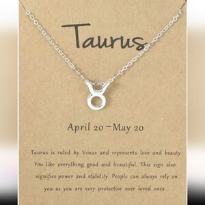 Silver Zodiac Necklace
